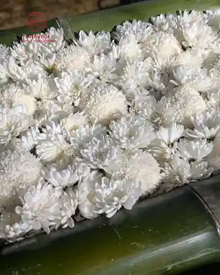 立志神社(滋賀県)