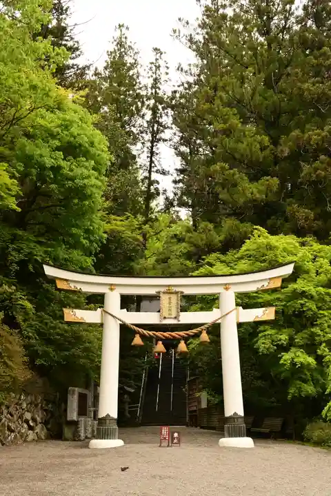 宝登山神社(埼玉県)