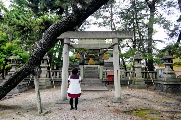 棚尾神社(八柱神社境外社)(愛知県)