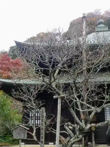 瑞泉寺の庭園