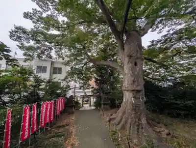 愛宕神社(福島県)