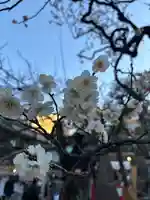 湯島天満宮の自然
