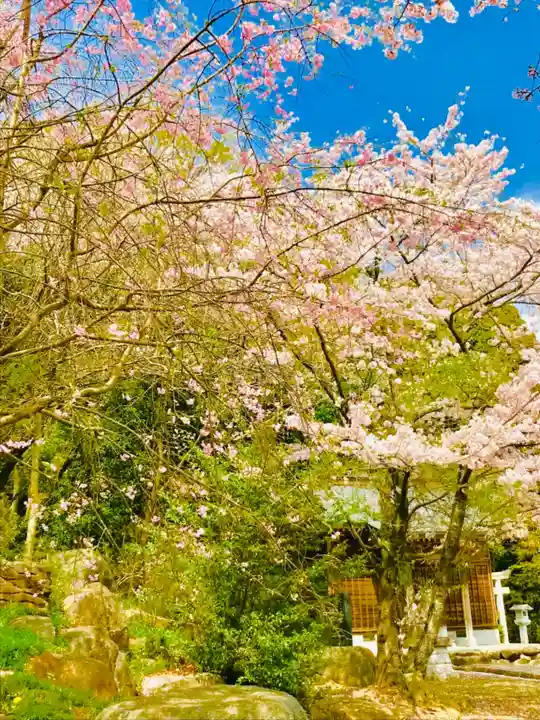 金嶽神社の自然