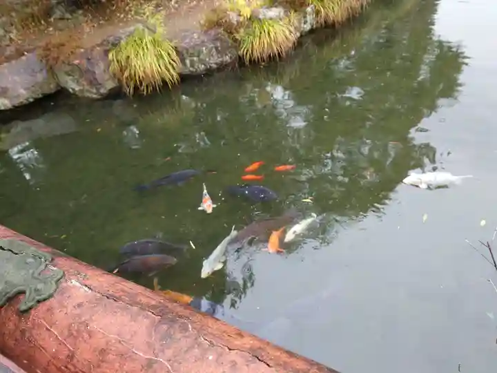 圓鏡寺(岐阜県)