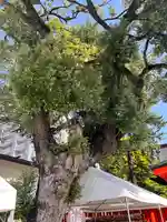 榴岡天満宮(宮城県)