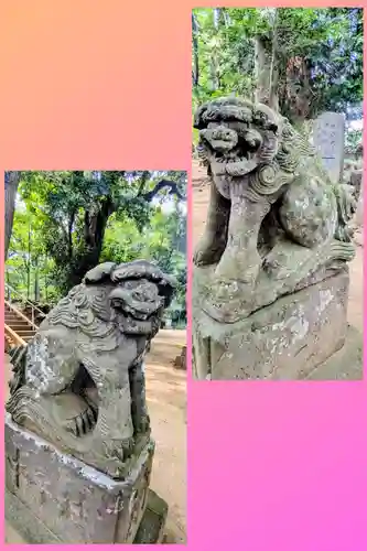 七百餘所神社 の狛犬