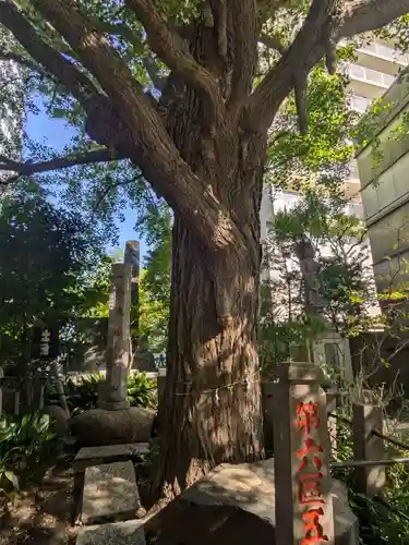 回向院(東京都)