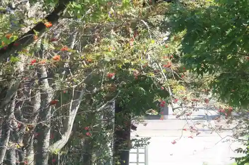 釧路一之宮 厳島神社のその他建物