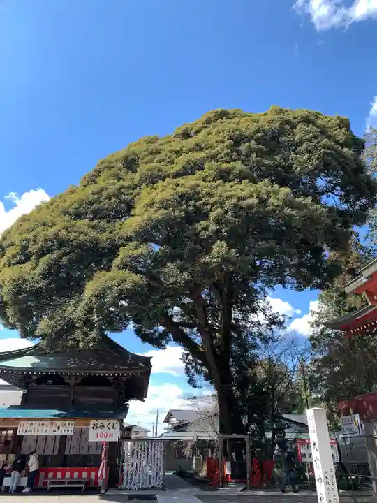 大前神社(栃木県)