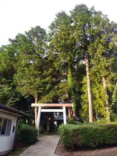 鹿島神社の鳥居