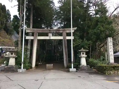 白山比咩神社の鳥居