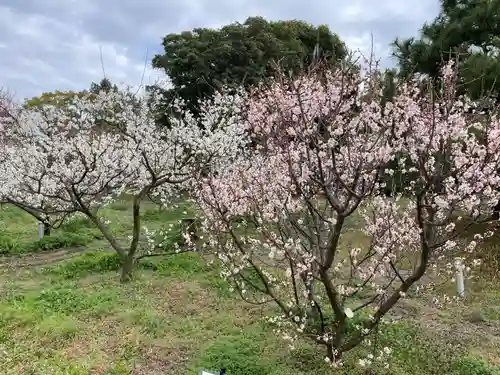 曽根天満宮(兵庫県)