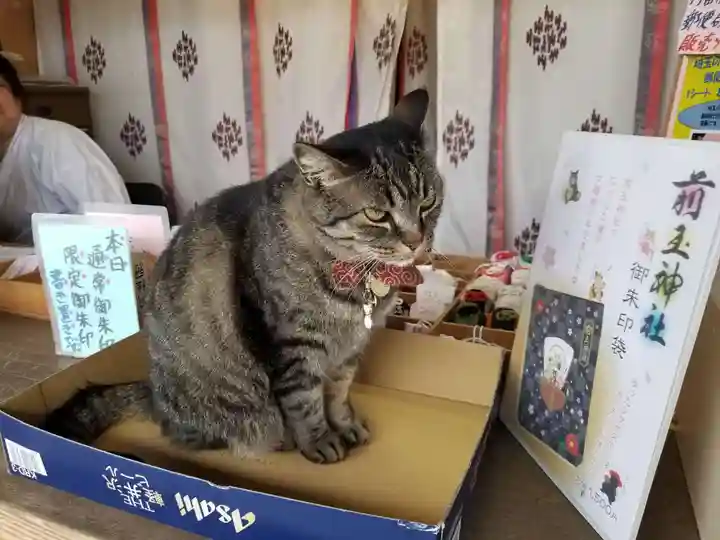 前玉神社の動物