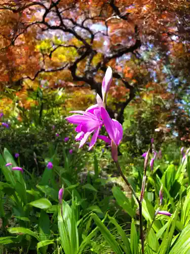 開成山大神宮(福島県)