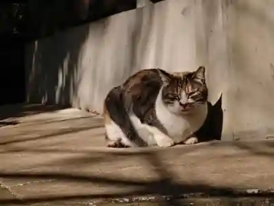 八剱神社の動物