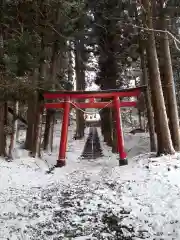 玉崎駒形神社の鳥居