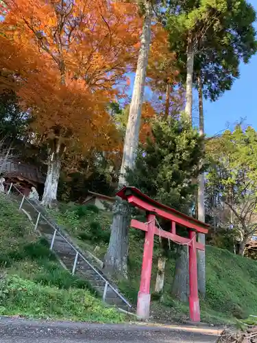 熱田神社の自然