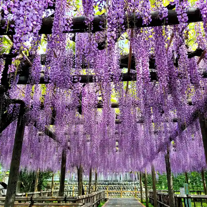 行興寺(静岡県)