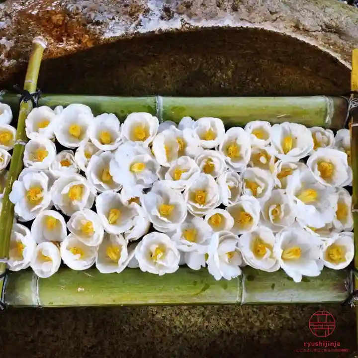 立志神社(滋賀県)