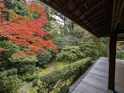 桂春院の庭園