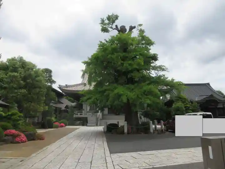 神崎寺(開運水戸不動尊)のその他建物