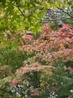 縣居神社(静岡県)