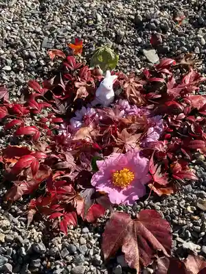 出雲大神宮(京都府)