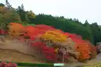 零羊崎神社の自然