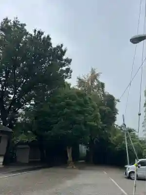 日吉神社(神奈川県)