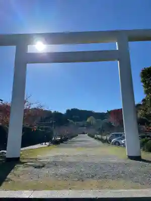 安房神社(千葉県)