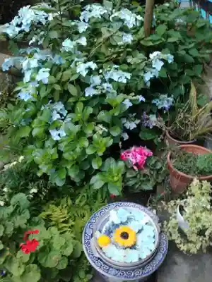 能満寺(神奈川県)