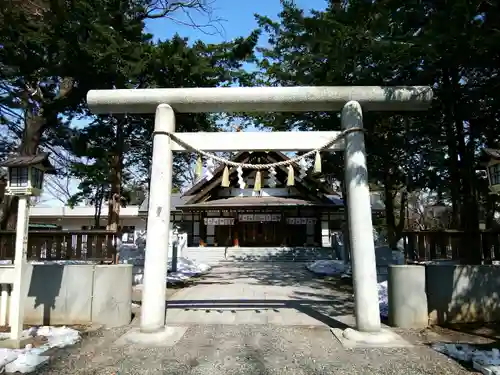 新琴似神社の鳥居