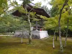 鹿苑寺（金閣寺）(京都府)