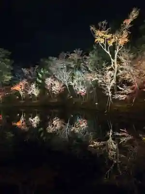 高台寺（高台寿聖禅寺・高臺寺）(京都府)