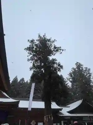 穂高神社本宮(長野県)