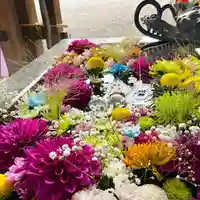 札幌諏訪神社の手水舎