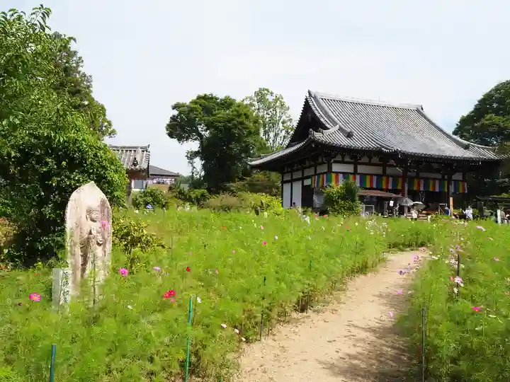 般若寺 ❁コスモス寺❁(奈良県)