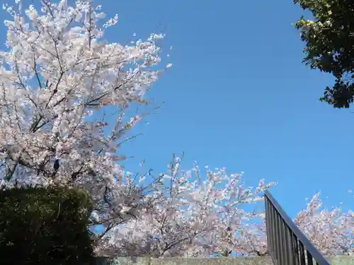 橋寺 放生院(京都府)