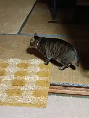 常光寺(長野県)