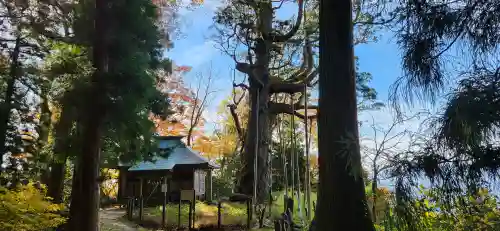 木幡山隠津島神社(二本松市)の周辺