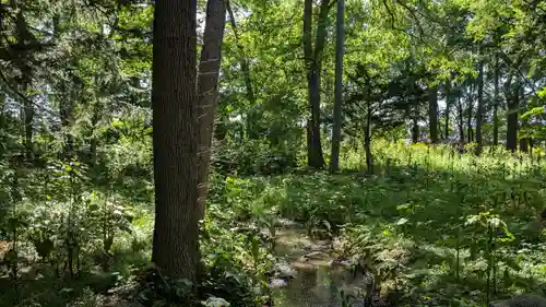 興国神社の自然