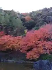 勝尾寺(大阪府)