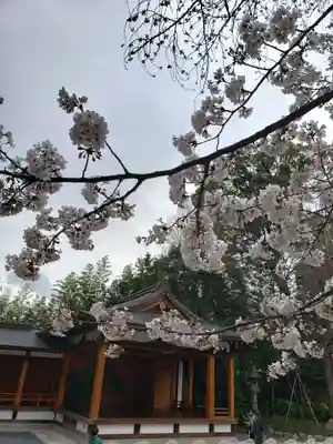 阿佐ヶ谷神明宮のその他建物