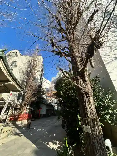 銀杏岡八幡神社(東京都)