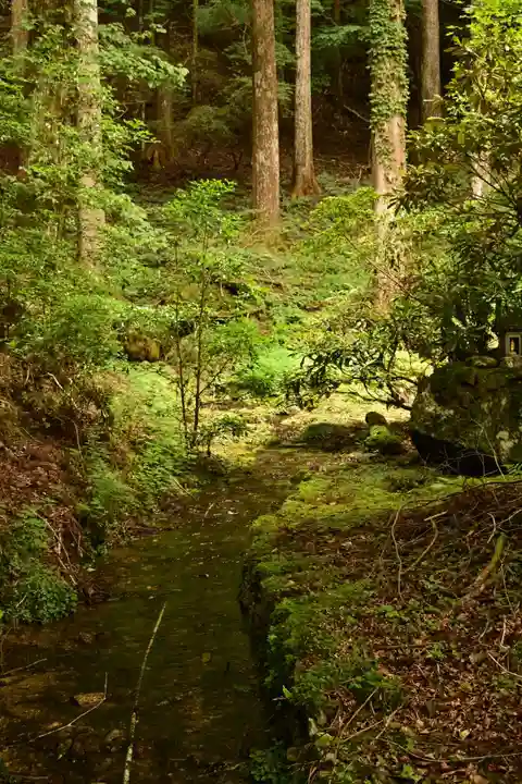 悲願寺(徳島県)