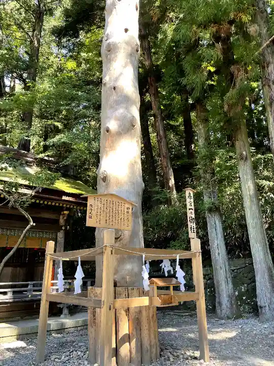 諏訪大社下社春宮(長野県)