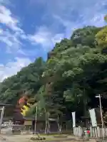 四條畷神社(大阪府)
