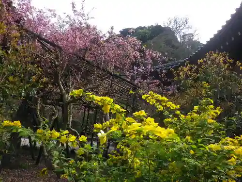 光則寺の景色