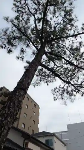 別小江神社(愛知県)