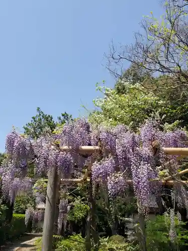 神炊館神社 ⁂奥州須賀川総鎮守⁂(福島県)